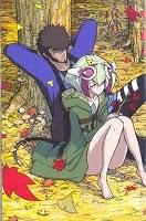   / Dimension W